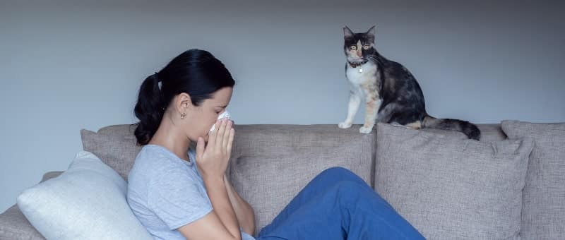Young woman sitting on sofa sneezing with a cat nearby Home Young woman sitting on sofa sneezing with a cat nearby Home